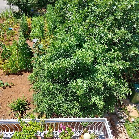 Apartmani Toni Vodice Eksteriør bilde